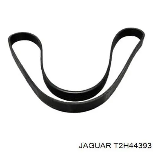  Jaguar T2H57525 ціна, від 22.60 USD