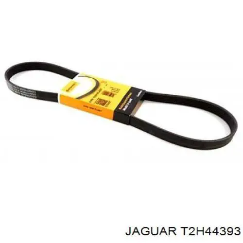 Купити T2H57525 Jaguar 