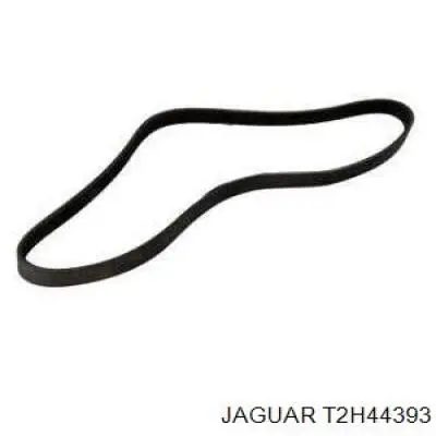 T2H57525 Jaguar 