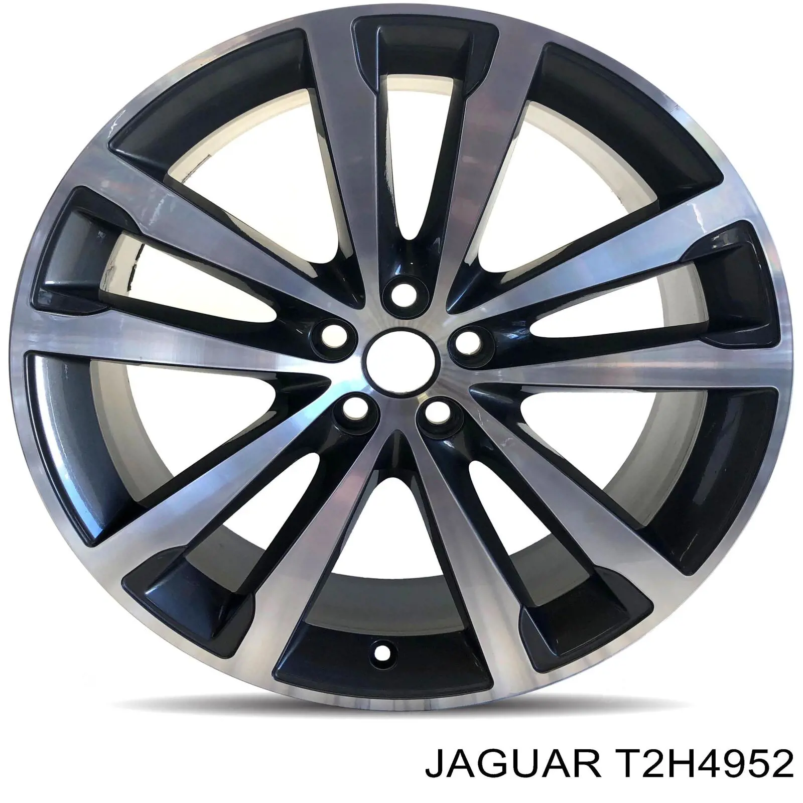  T2H4952 Jaguar