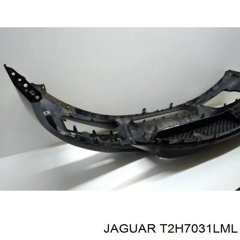  T2H7031LML Jaguar