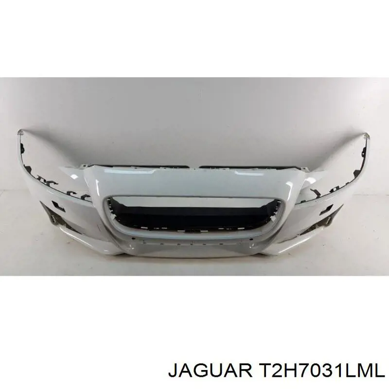 Купити T2H7031LML Jaguar 
