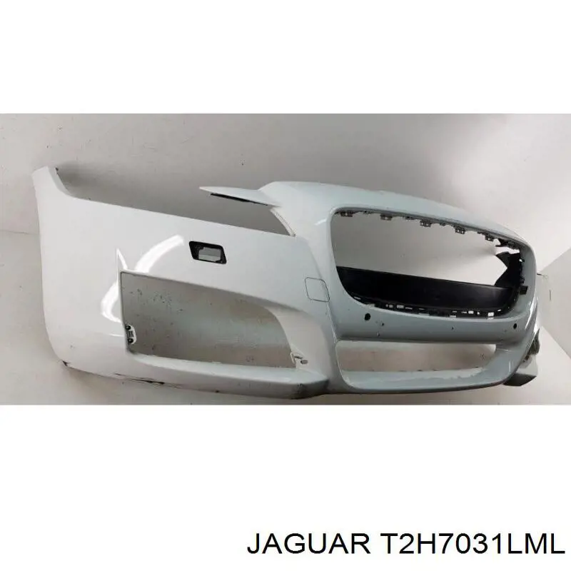 T2H7031LML Jaguar 