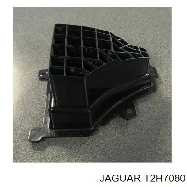  T2H7080 Jaguar