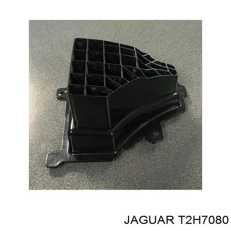 Купити T2H7080 Jaguar 