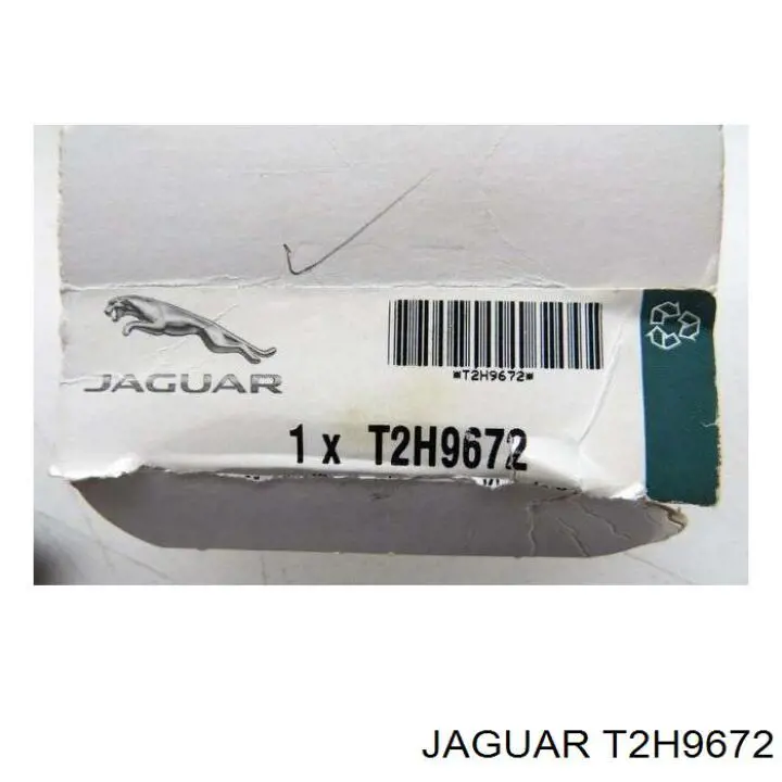 Купити C2Z10981 Jaguar Покажчик повороту дзеркала, лівий