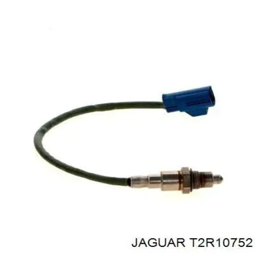  T2R10752 Jaguar