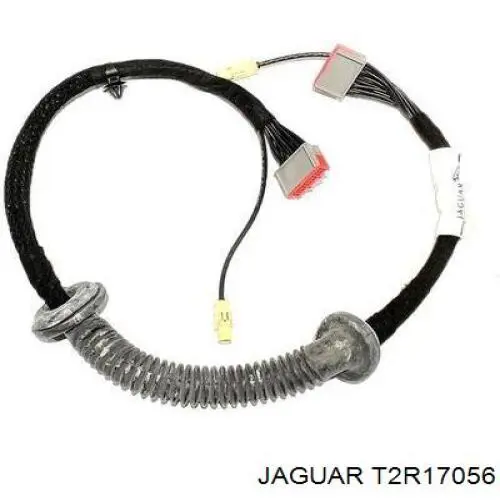  C2Z15890 Jaguar