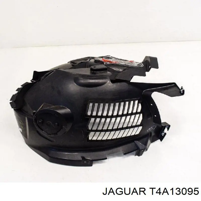  T4A1134 Jaguar