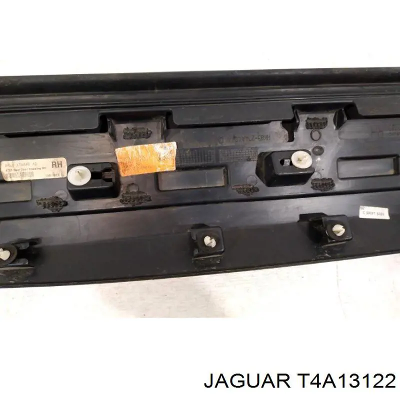 T4A13122 Jaguar 