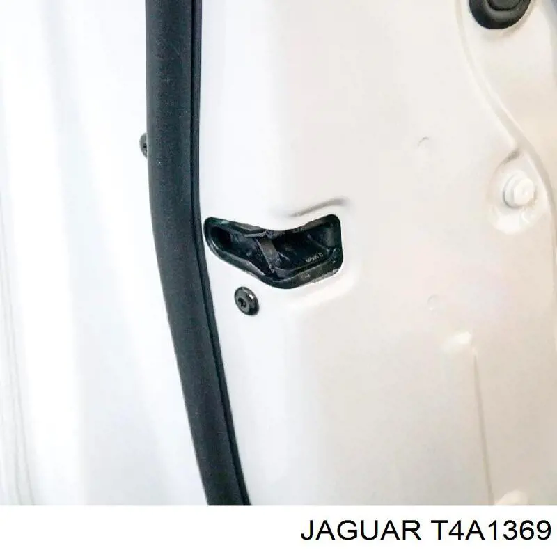 T4A1369 Jaguar Дверь передня ліва