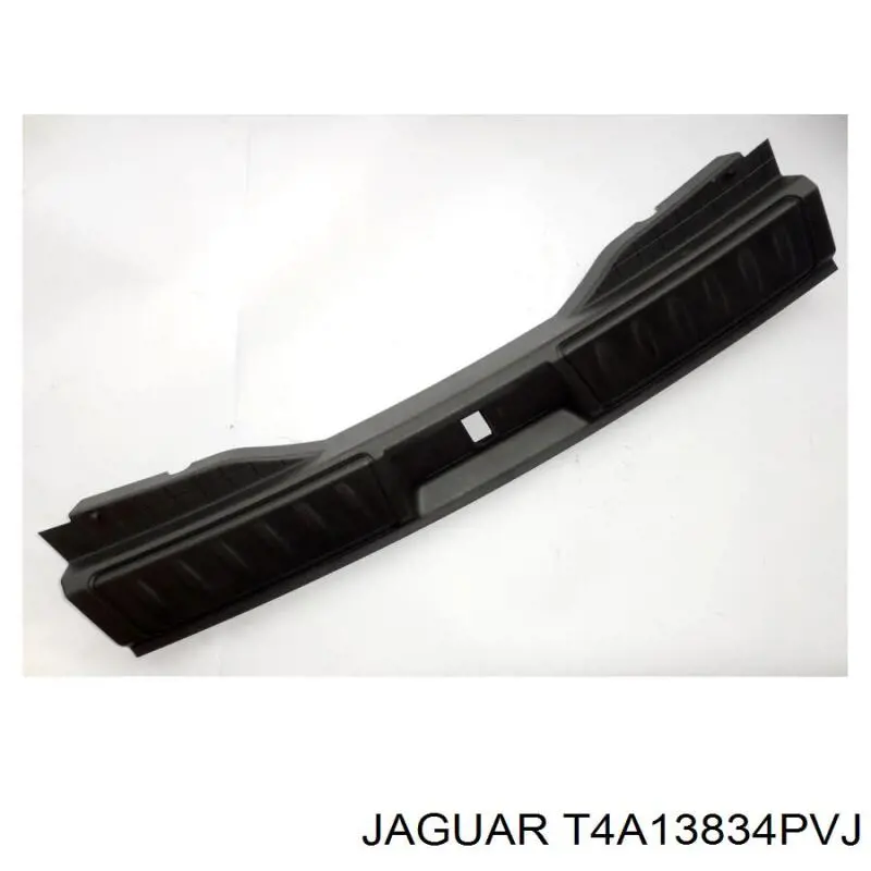 T4A13834PVJ Jaguar 