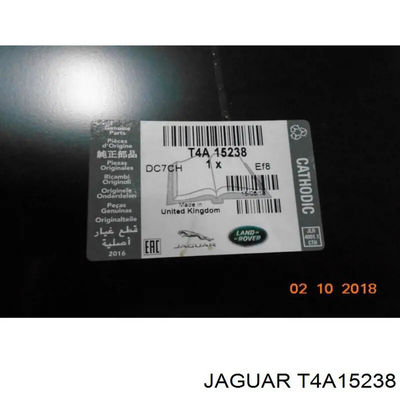 T4A15238 Jaguar 