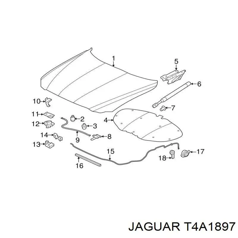 T4A1897 Jaguar Завіс капота, лівий