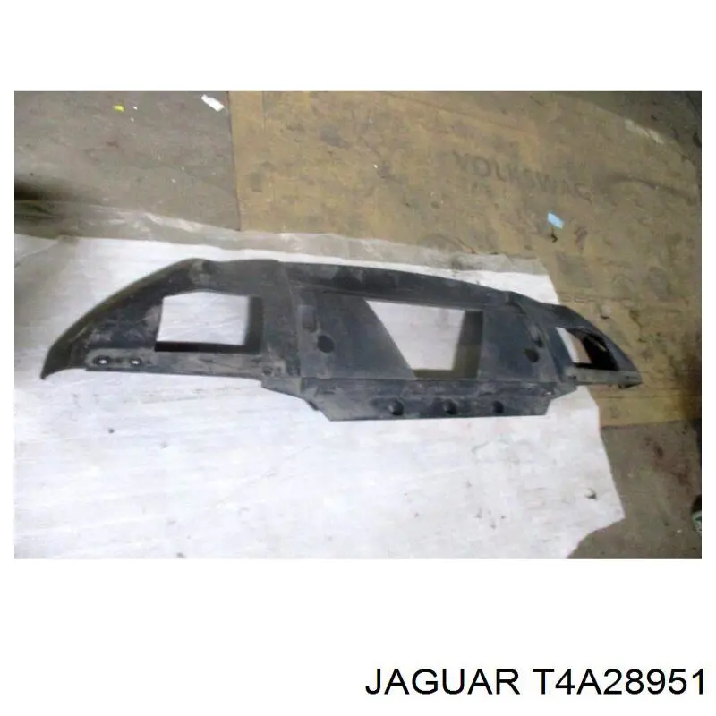  T4A28951 Jaguar