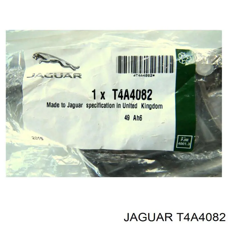 T4A4082 Jaguar 