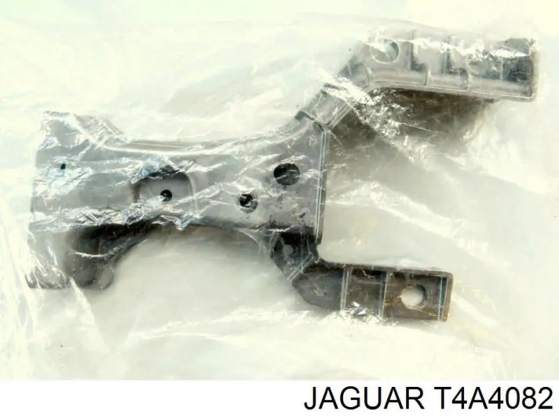  T4A41266 Jaguar