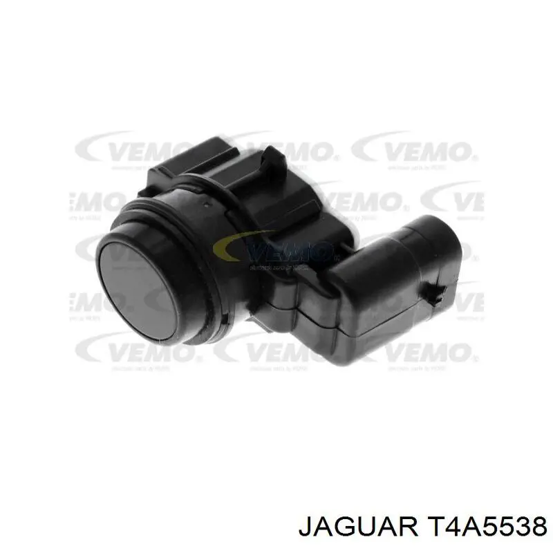 T4A5538 Jaguar 