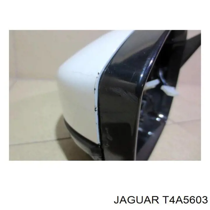  T4A5603 Jaguar