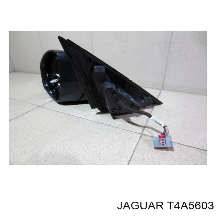 T4A5603 Jaguar 