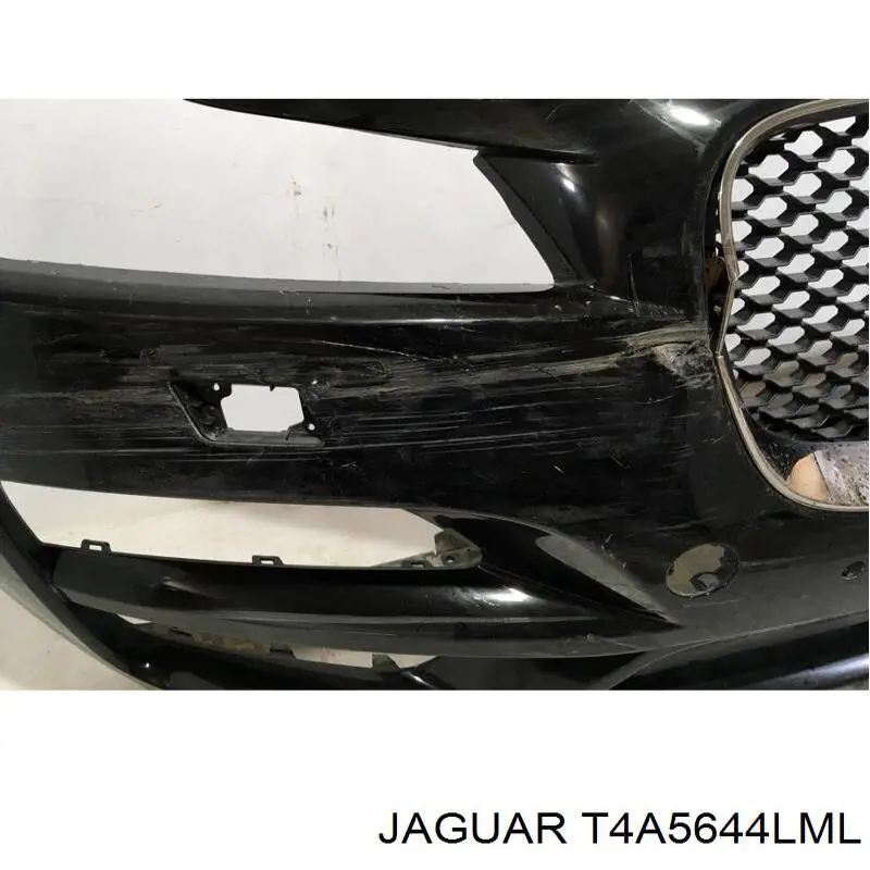 Купити T4A5644LML Jaguar 
