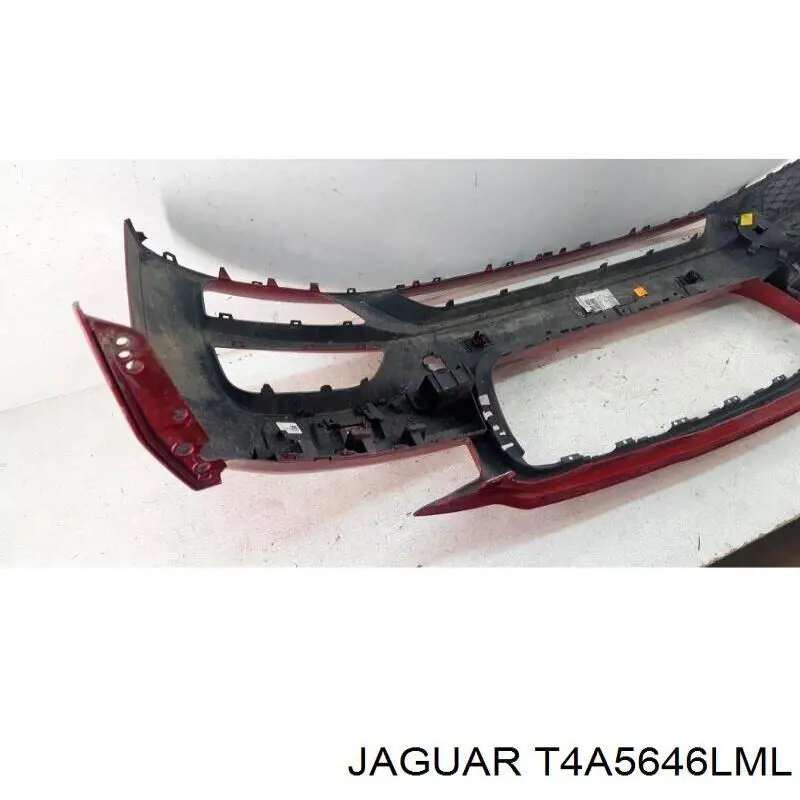 T4A5646LML Jaguar