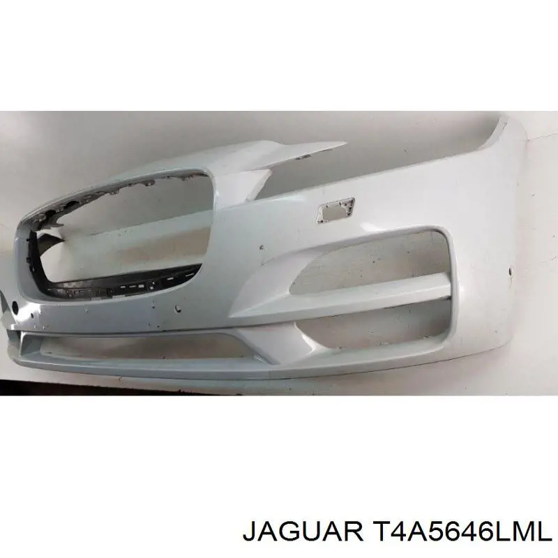  Jaguar T4A5646LML