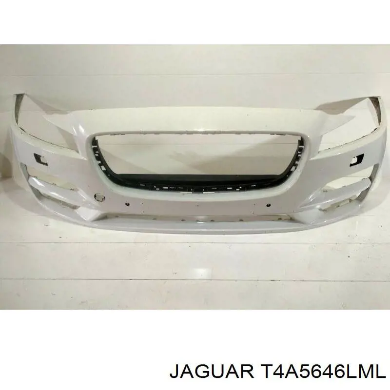 T4A5646LML Jaguar 