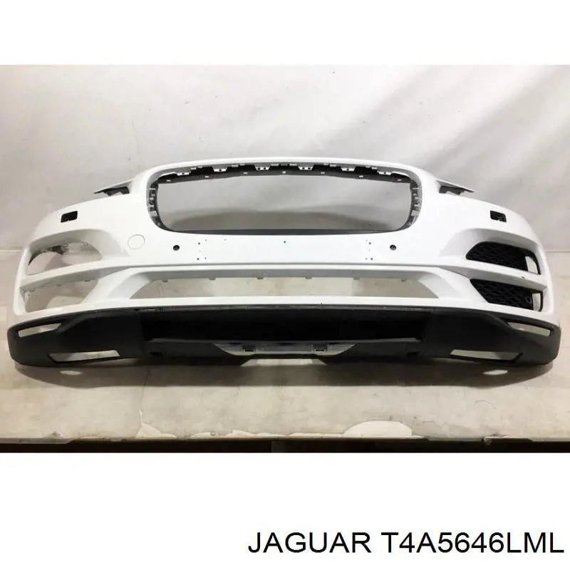 Купити T4A5646LML Jaguar 