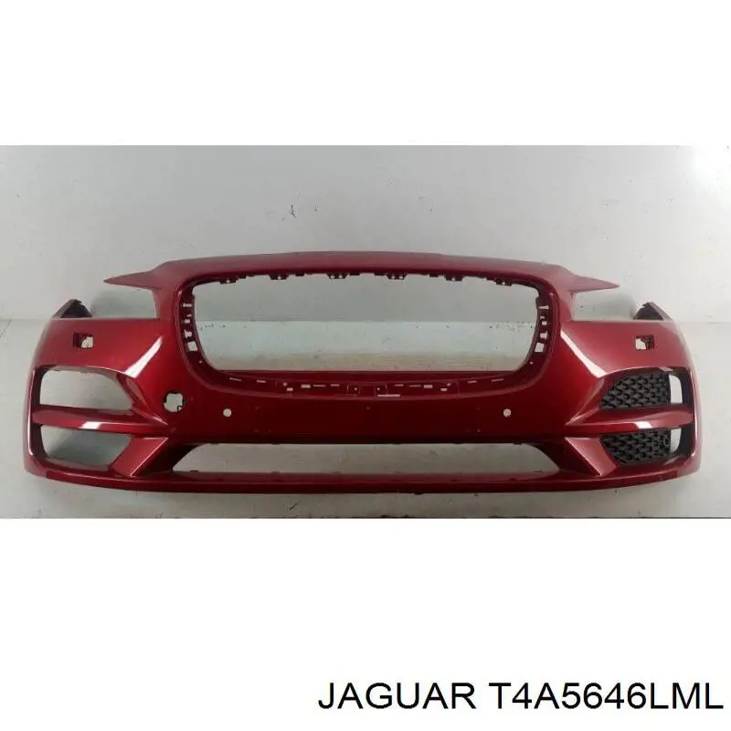 T4A5646LML Jaguar 