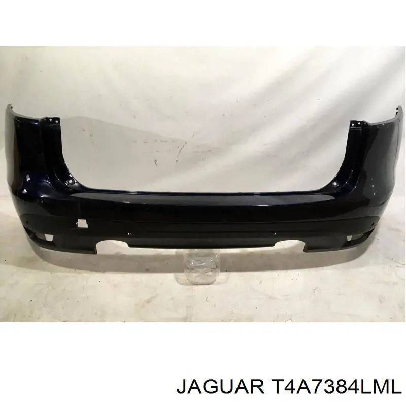 T4A7384LML Jaguar 