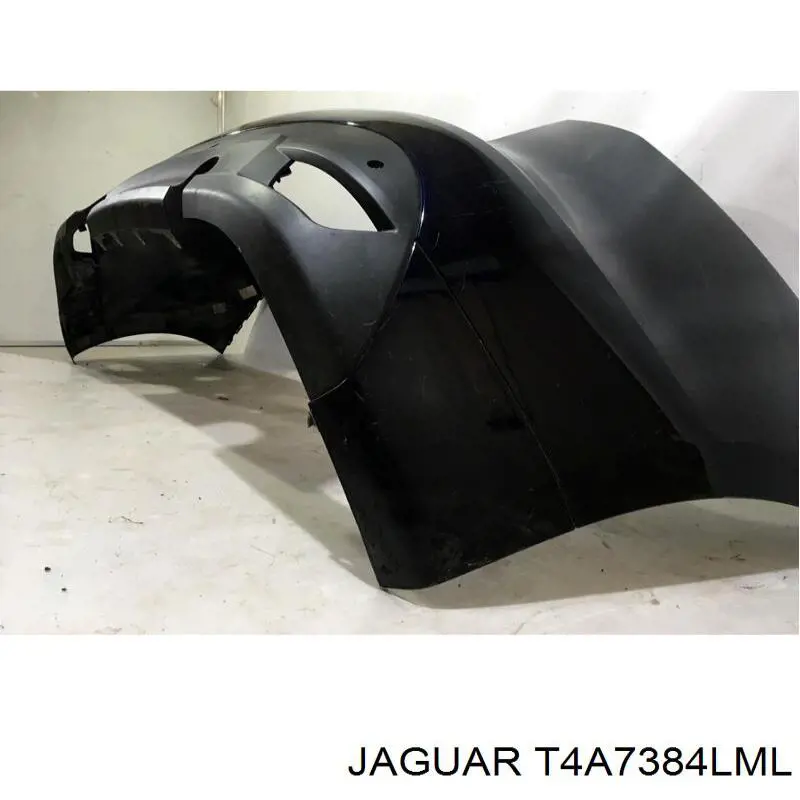  T4A7384LML Jaguar