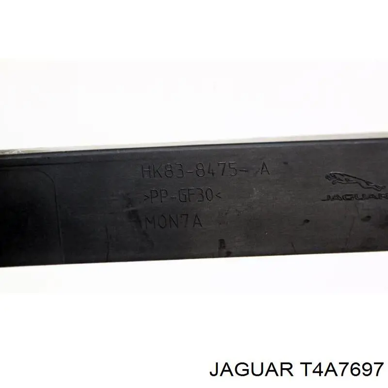 Купити T4A7697 Jaguar 