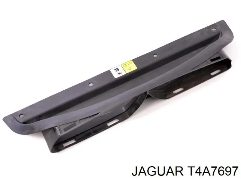 T4A7697 Jaguar 