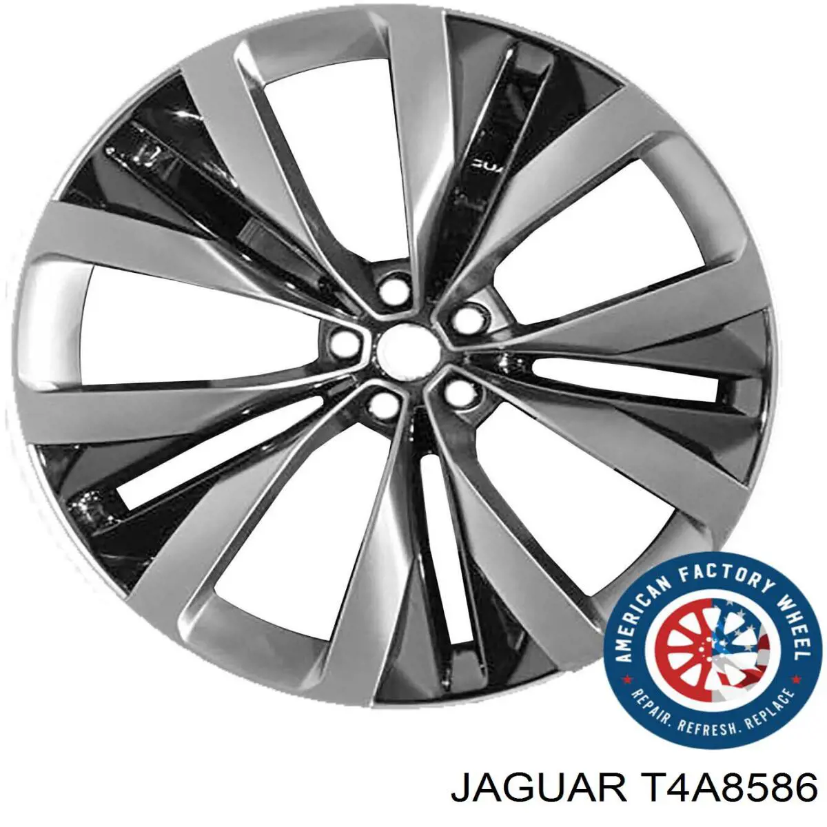  T4A39347 Jaguar