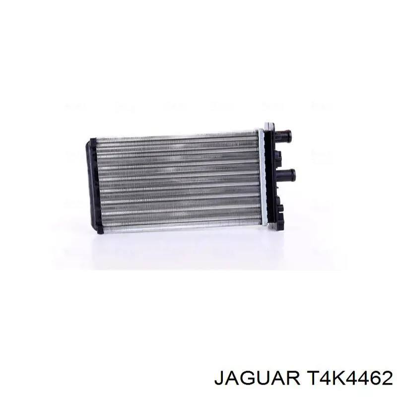  T4K4462 Jaguar