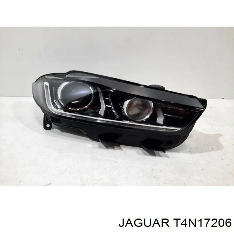  T4N17206 Jaguar