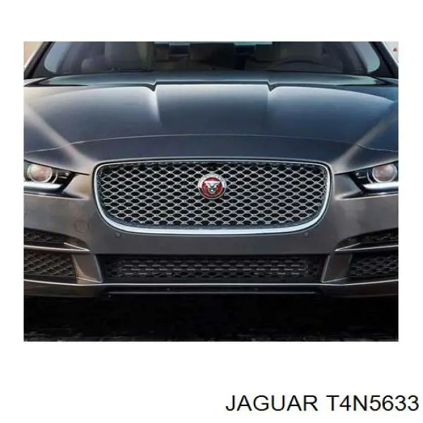 T4N5633 Jaguar 