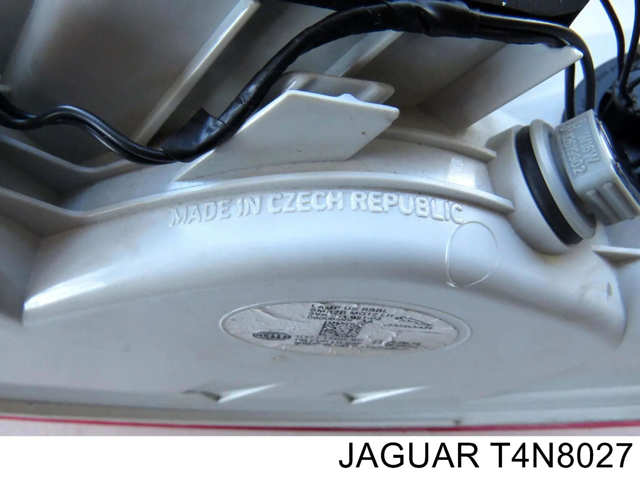  T4N24355 Jaguar