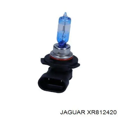 XR812420 Jaguar Лампочка галогенна