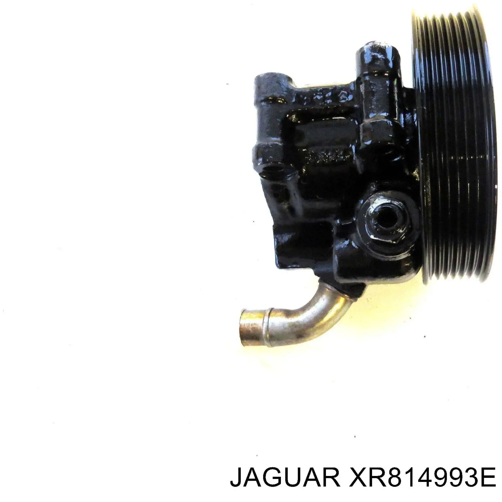 XR814993E Jaguar Насос гідропідсилювача
