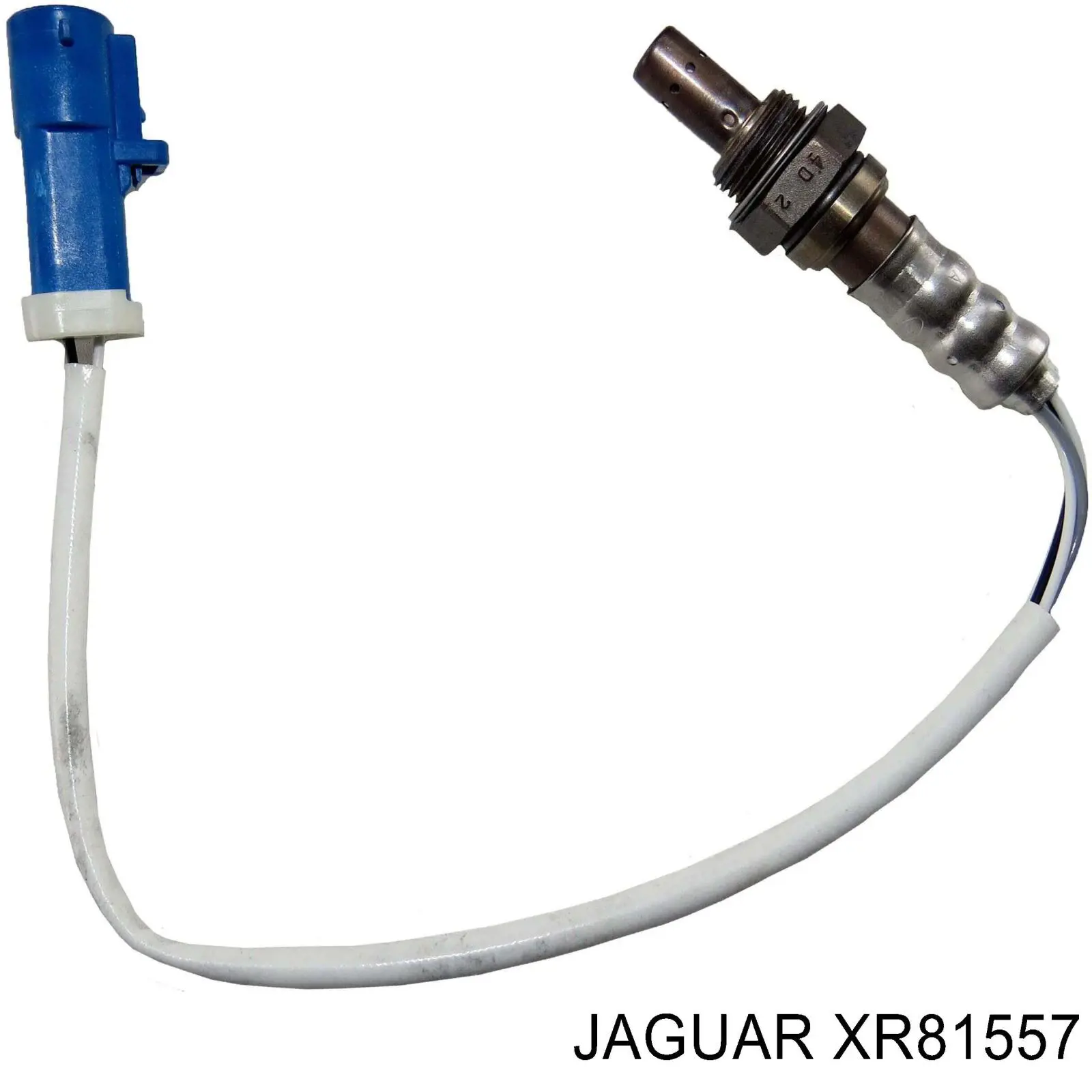 XR81557 Jaguar лямбдазонд, датчик кисню до каталізатора