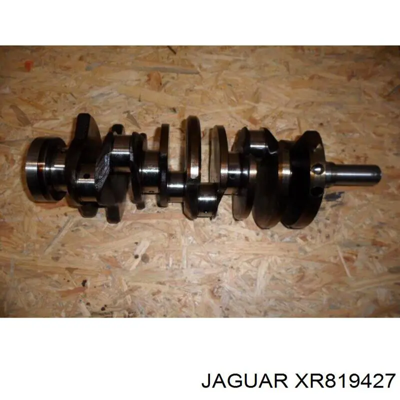 XR819427 Jaguar 