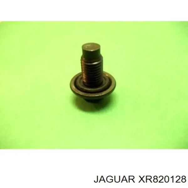XR820128 Jaguar 