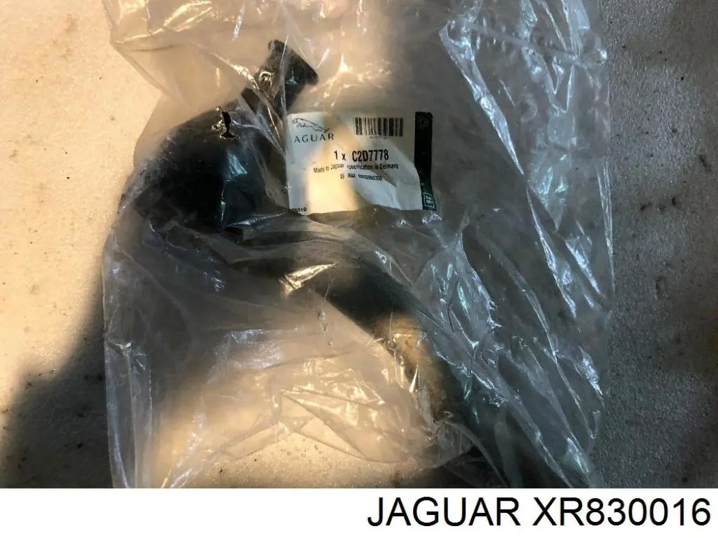  XR830016 Jaguar