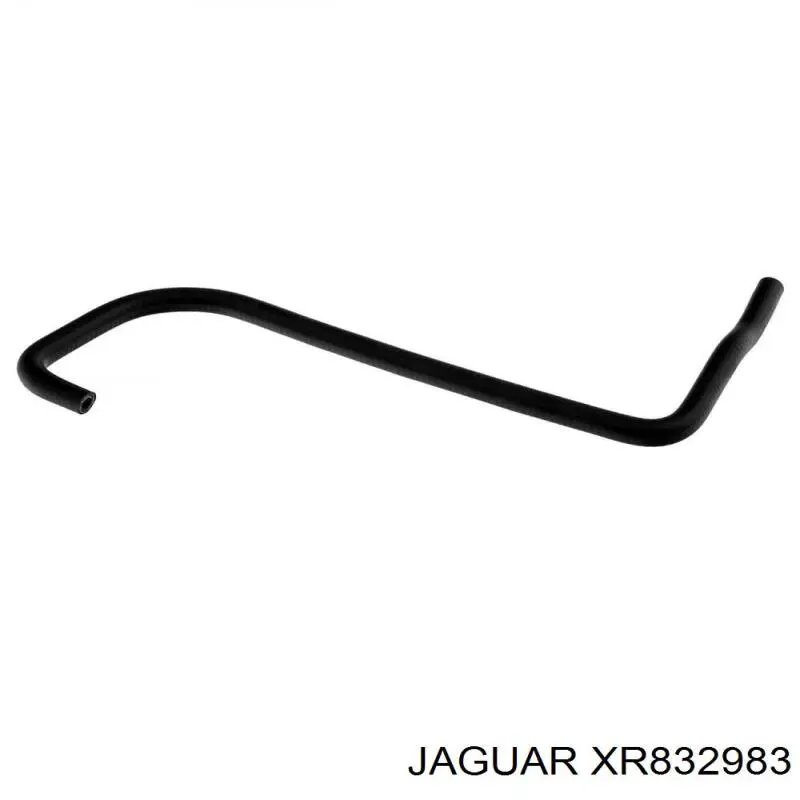  XR832983 Jaguar