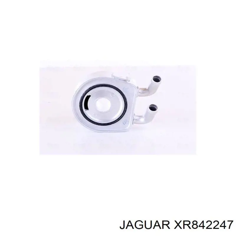 Купити XR842247 Jaguar 