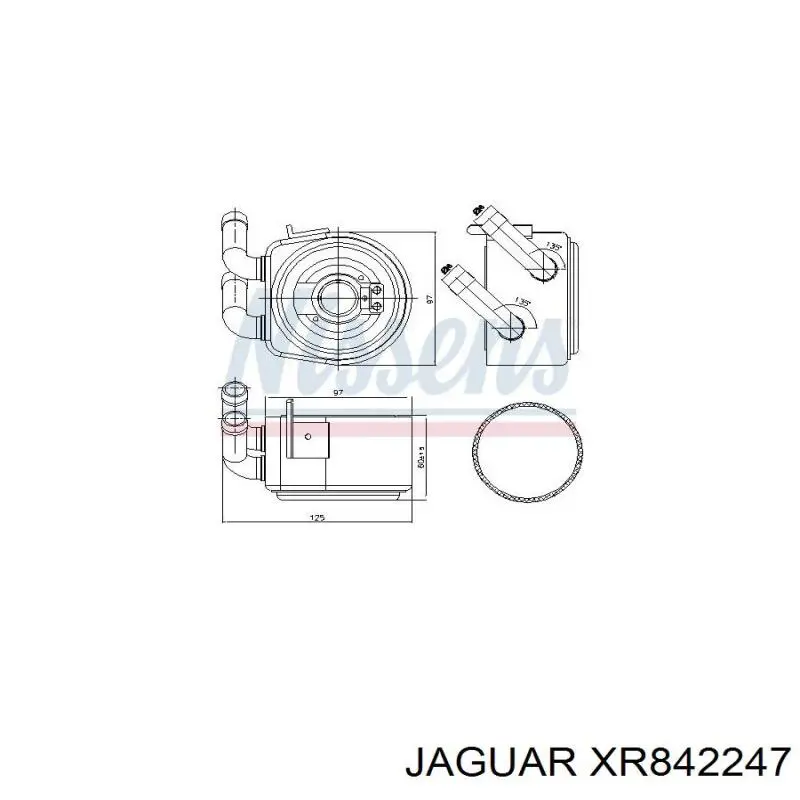  Jaguar XR842247 ціна, від 30.20 USD