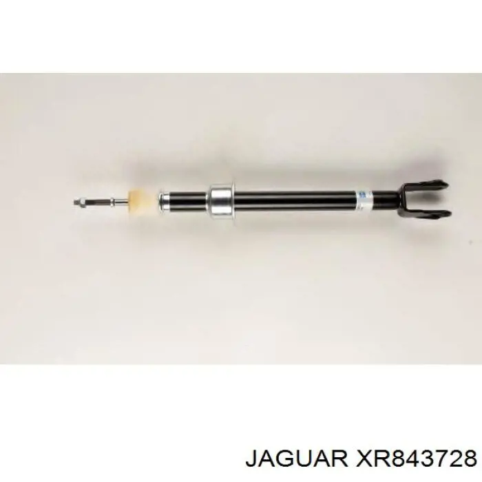 XR843728 Jaguar Стійка передня