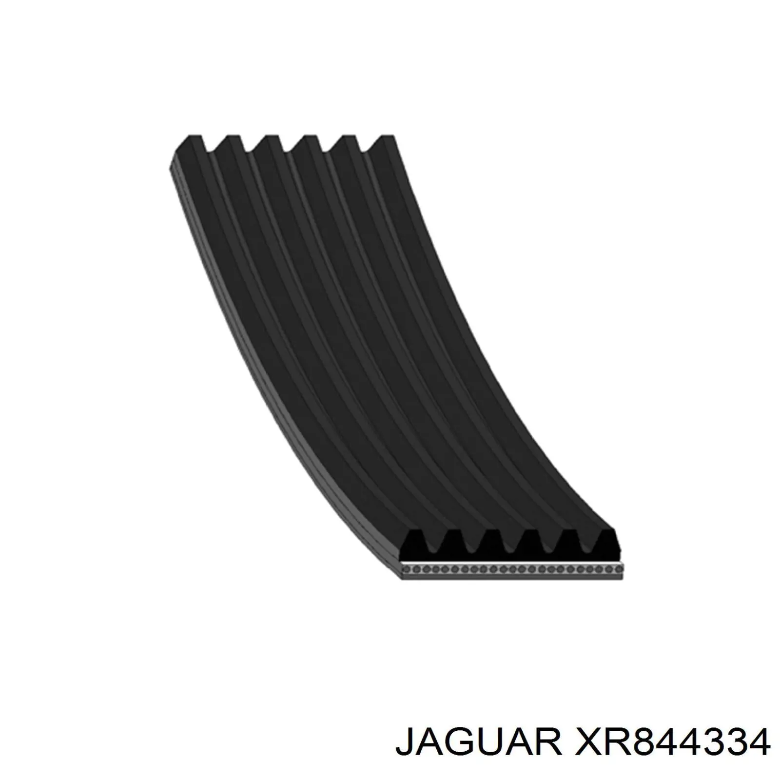 XR844334 Jaguar ремінь приводний, агрегатів